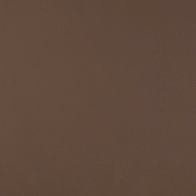 Magnolia Fabrics  Quest COFFEE