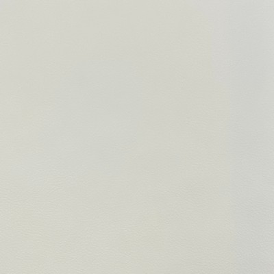 Magnolia Fabrics  Quest ECRU