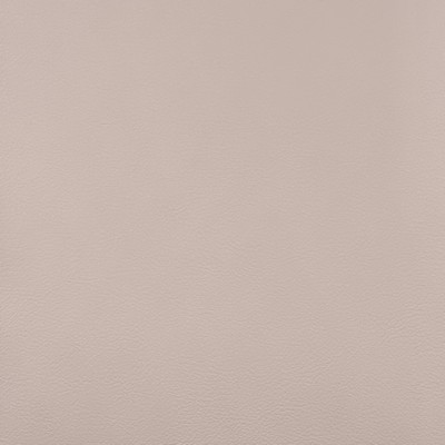 Magnolia Fabrics  Quest GRAIN