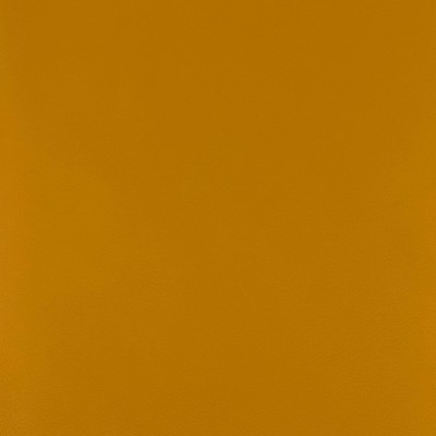 Magnolia Fabrics  Quest HONEY