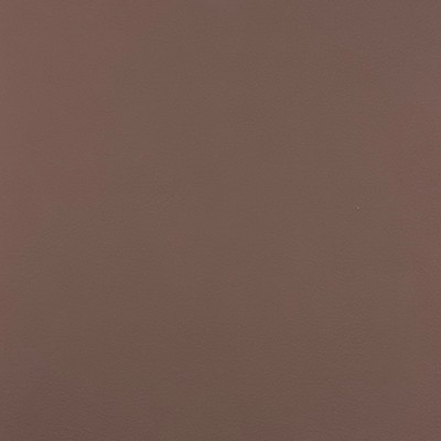 Magnolia Fabrics  Quest LATTE