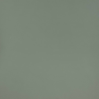 Magnolia Fabrics  Quest MIST