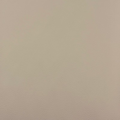 Magnolia Fabrics  Quest MUSHROOM