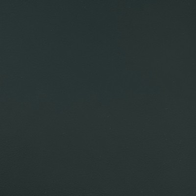 Magnolia Fabrics  Quest OLIVER