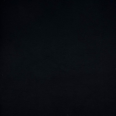 Magnolia Fabrics  Quest ONYX