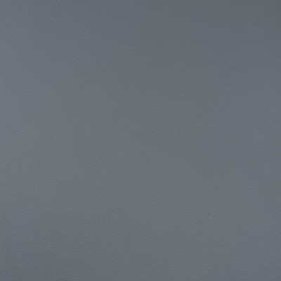 Magnolia Fabrics  Quest RAIN