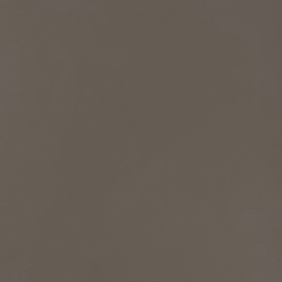 Magnolia Fabrics  Quest STONE