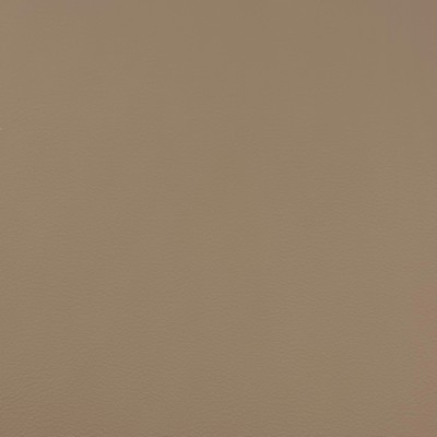 Magnolia Fabrics  Quest TAUPE