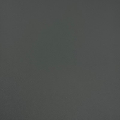 Magnolia Fabrics  Quest THUNDER