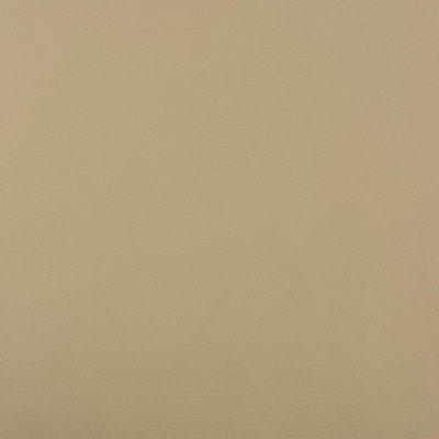 Magnolia Fabrics  Quest WHEAT