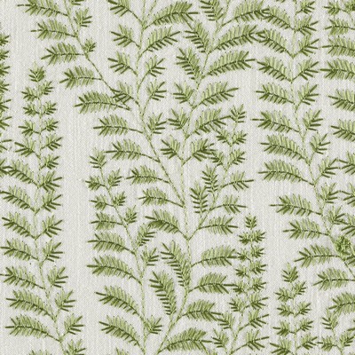 Magnolia Fabrics  Brookline ELM