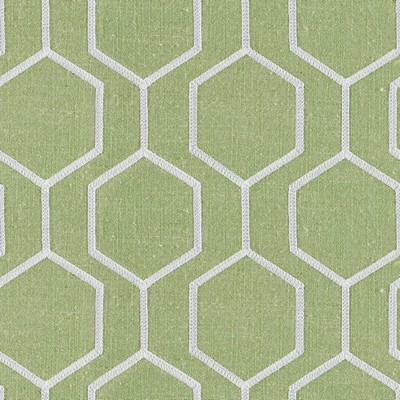 Magnolia Fabrics  Newton ELM