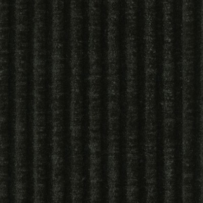 Magnolia Fabrics  Hudson CHIA