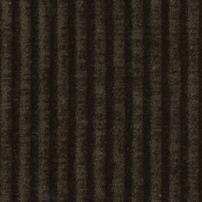 Magnolia Fabrics  Hudson BROWN