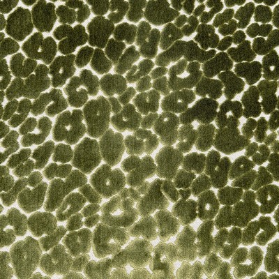 Magnolia Fabrics  Landon OLIVE