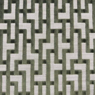 Magnolia Fabrics  Eunap MOSS