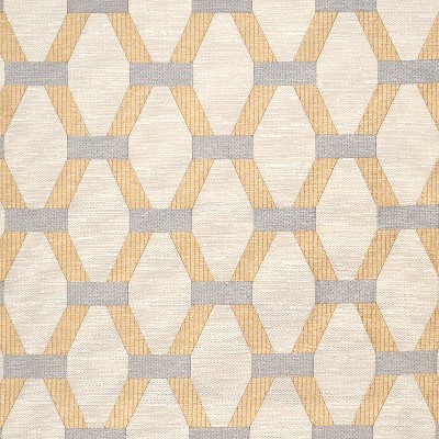 Magnolia Fabrics  Suplee COIN