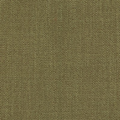 Magnolia Fabrics  Dupree FERN