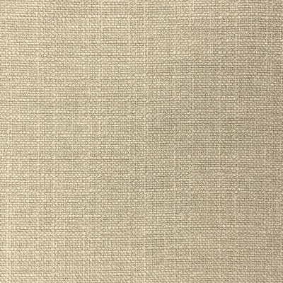Magnolia Fabrics  Crypton Home Sky LINEN