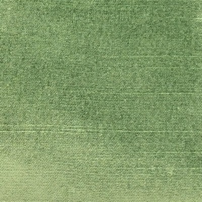 Magnolia Fabrics  Brussels 4920 505 SHAMROCK