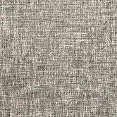 Magnolia Fabrics  Kilroy TITAN