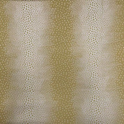 Magnolia Fabrics  Kolfage MOSS