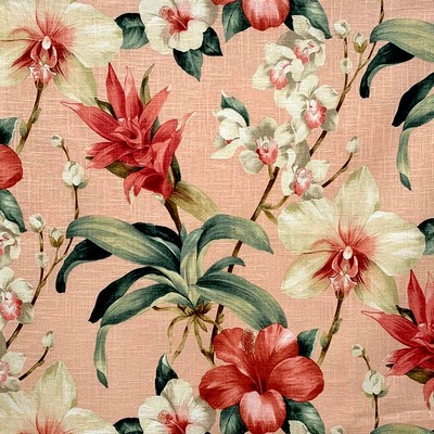 Magnolia Fabrics  Stein CANDY