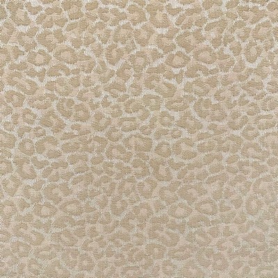 Magnolia Fabrics  Groeber SAND
