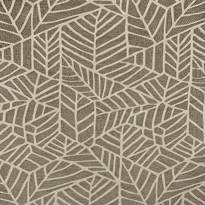 Magnolia Fabrics  Brianne SHADOW