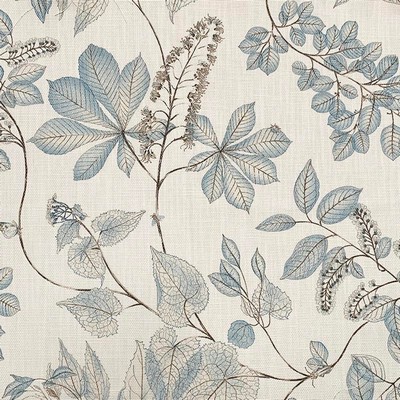 Magnolia Fabrics  Dakwoo NEPTUNE