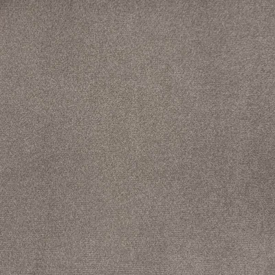 Magnolia Fabrics  Emmi MOCHA