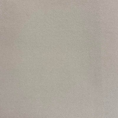 Magnolia Fabrics  Emmi CAMEO