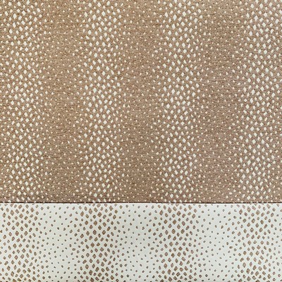 Magnolia Fabrics  Hamza BUFF