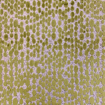 Magnolia Fabrics  Daniel MOSS