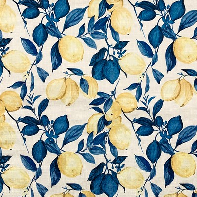 Magnolia Fabrics  Correa COBALT