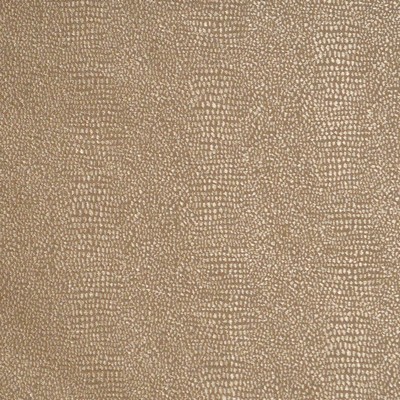 Magnolia Fabrics  DOC GLITZ