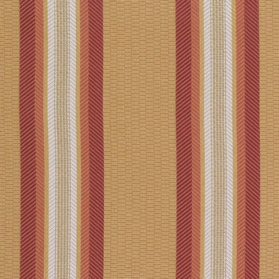 Bailey and Griffin AMBOISE STRIPE GOLD/MELON