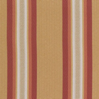 Bailey and Griffin AMBOISE STRIPE GOLD/MELON