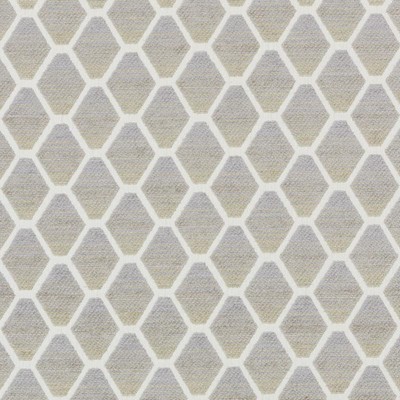 Bailey and Griffin HARLEQUIN MUSHROOM