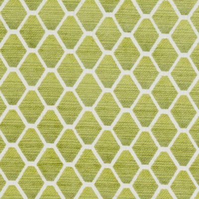 Bailey and Griffin HARLEQUIN KIWI