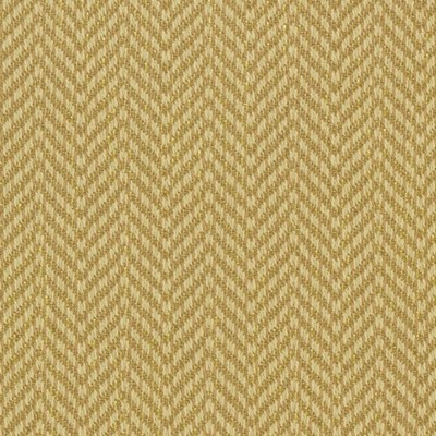 Bailey and Griffin LAMBDA SUNFLOWER