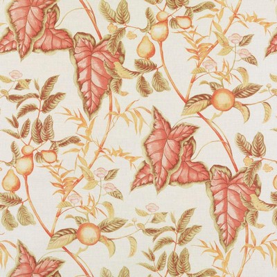 Bailey and Griffin PUCCINI SPICE