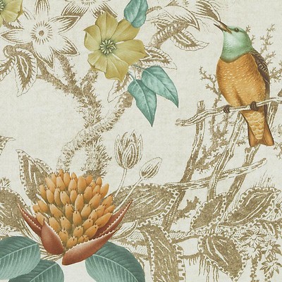 Bailey and Griffin BIRDS OF EDEN TERRA/SAGE