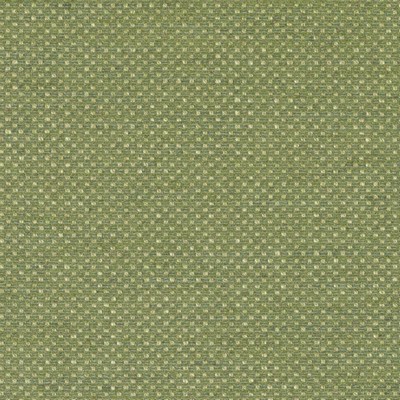 Bailey and Griffin DUMBARTON PISTACHIO