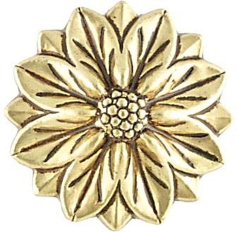 Vesta Rosette CORDOBA Polished Brass
