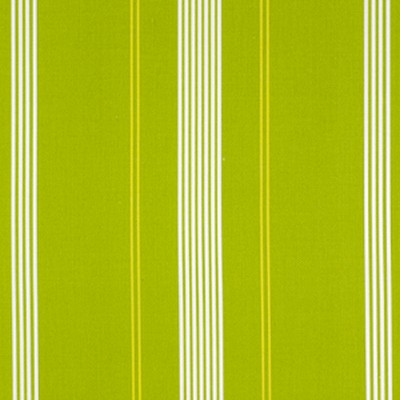 Robert Allen OCEAN TRAIL PARAKEET