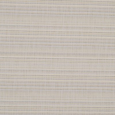 Robert Allen SUNRISE BEACH   SAND DOLLAR    