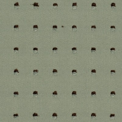 Robert Allen NIAMH BERMUDA