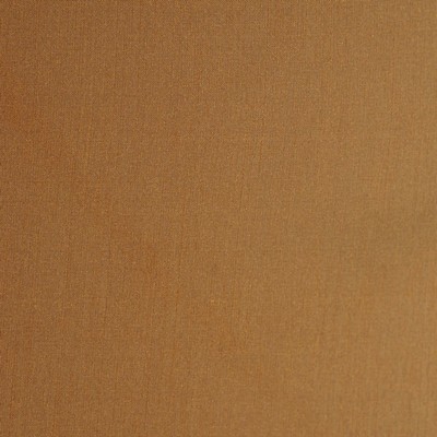 Robert Allen BELLE AMI COPPER