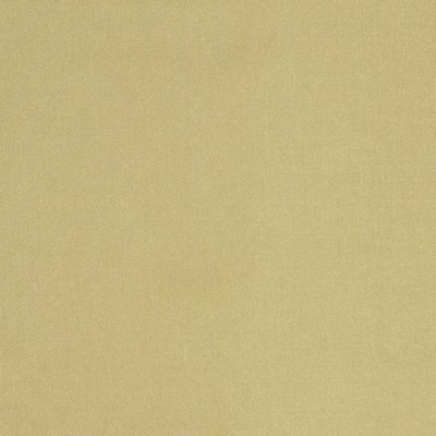 Robert Allen BELLE AMI CHAMPAGNE